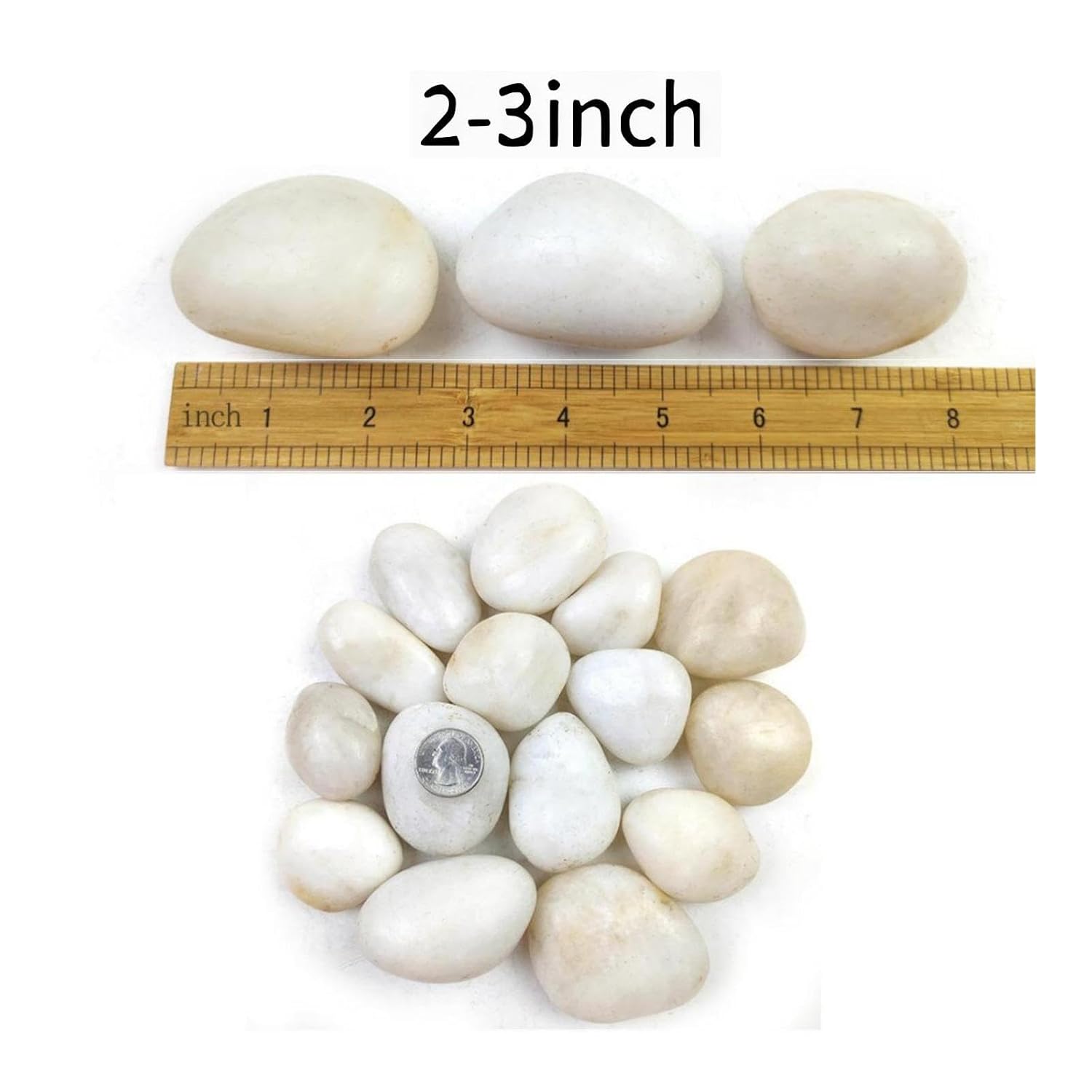 5LB White River Rocks - 2-3 inch High Polished Decorative Pebbles, Stones for Landscaping, Natural River Rocks for Outdoor Décor, Plants,Vase Filler,Fish Tank