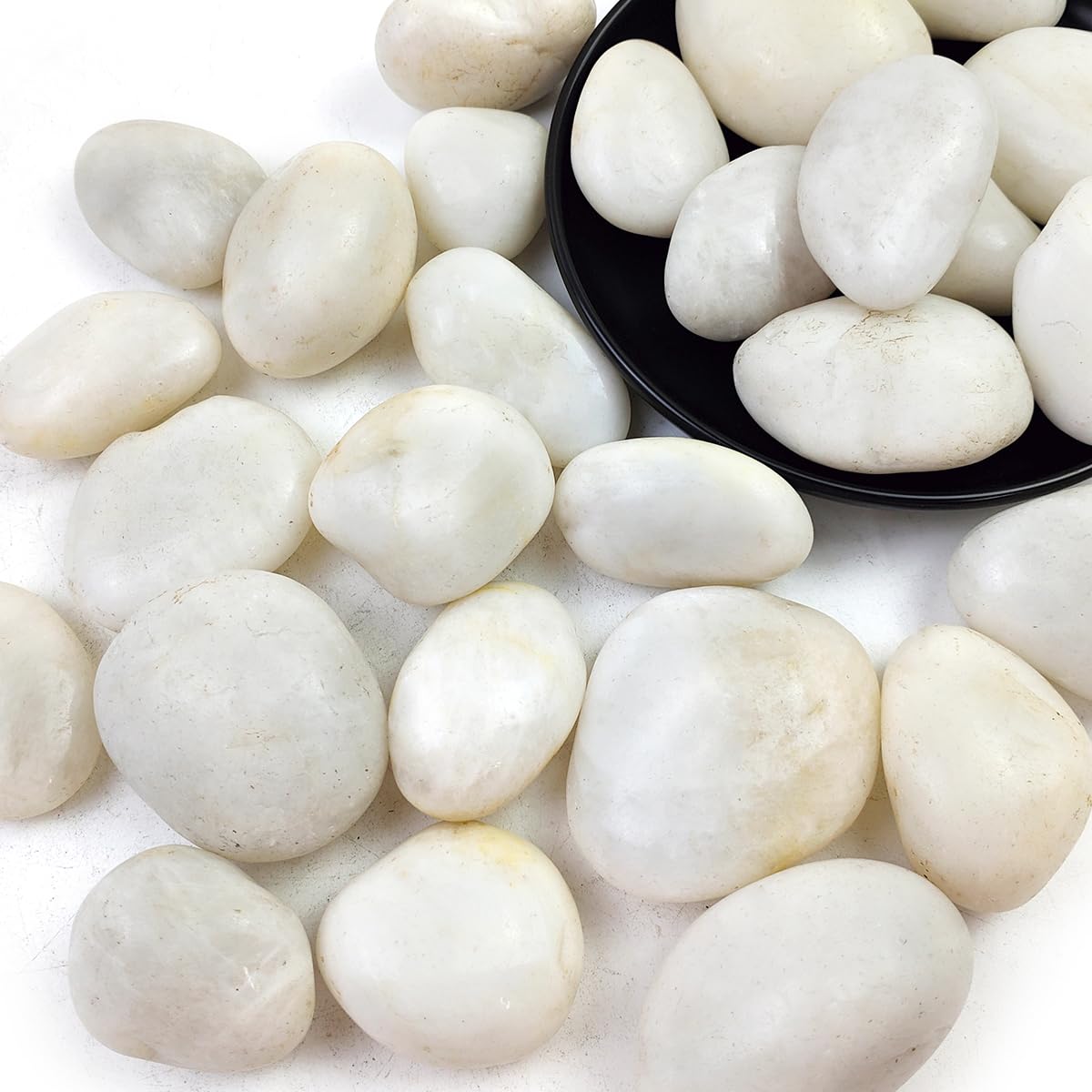 5LB White River Rocks - 2-3 inch High Polished Decorative Pebbles, Stones for Landscaping, Natural River Rocks for Outdoor Décor, Plants,Vase Filler,Fish Tank