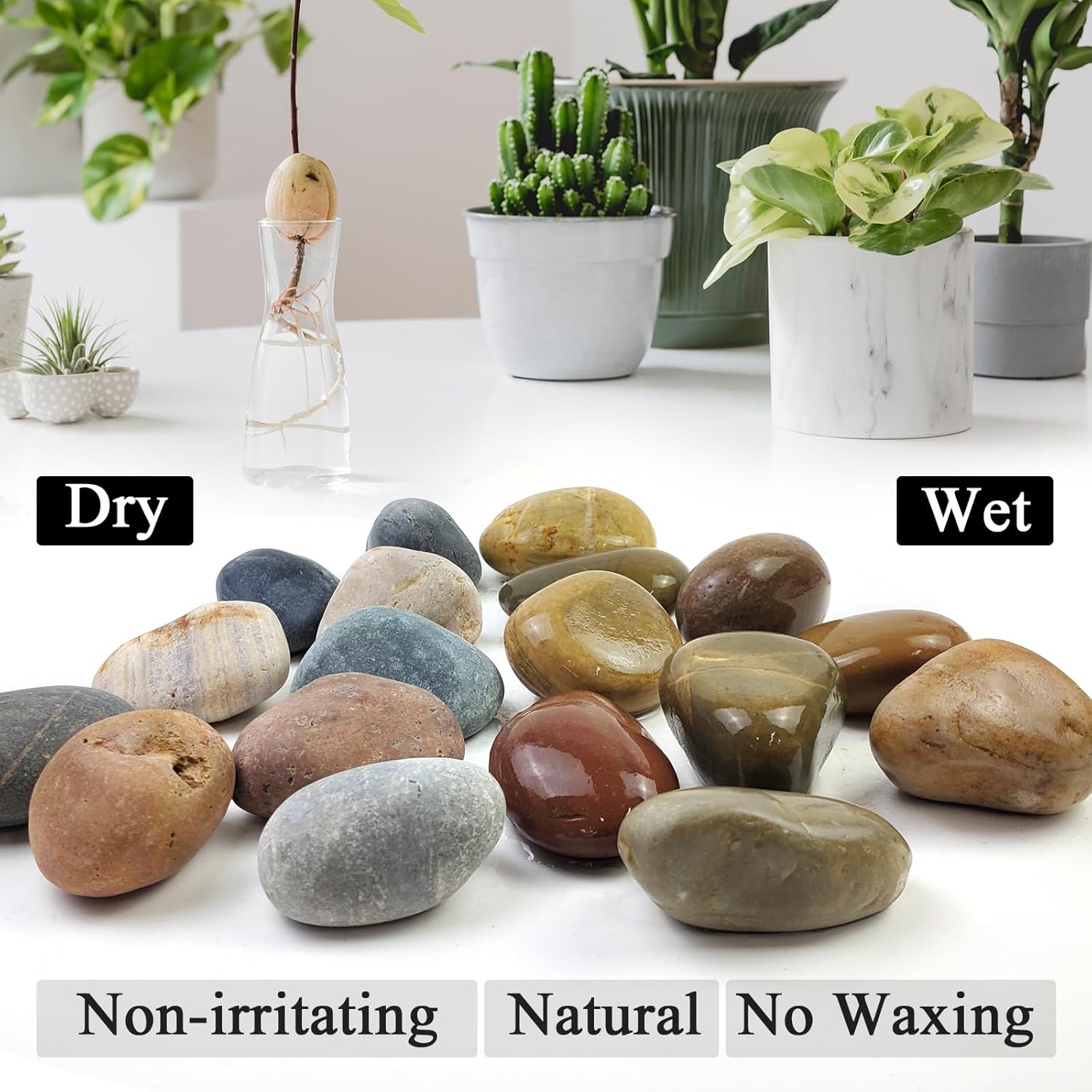 rocks for indoor plants Large River Rocks for Landscaping – SHIZWU