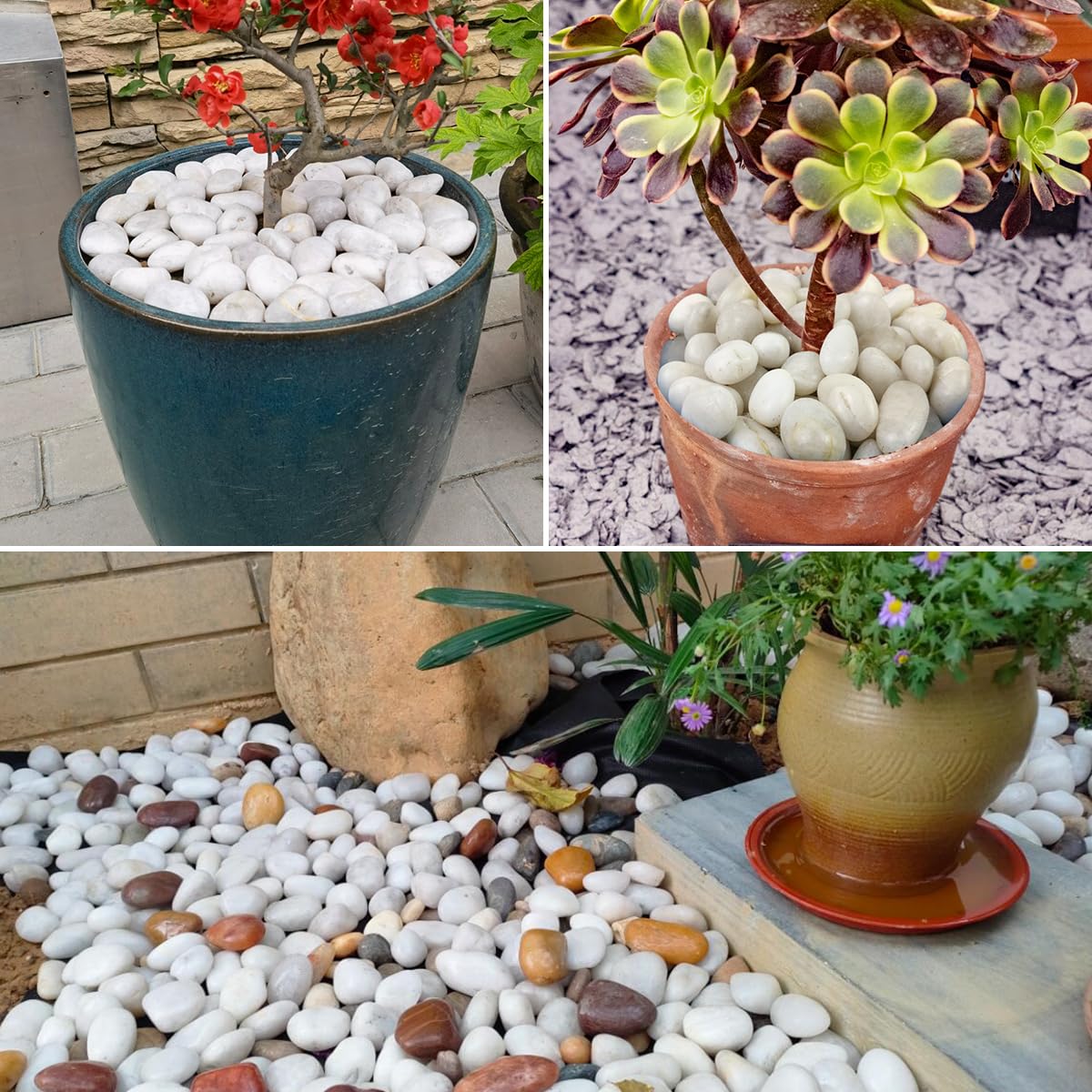 5LB White River Rocks - 2-3 inch High Polished Decorative Pebbles, Stones for Landscaping, Natural River Rocks for Outdoor Décor, Plants,Vase Filler,Fish Tank
