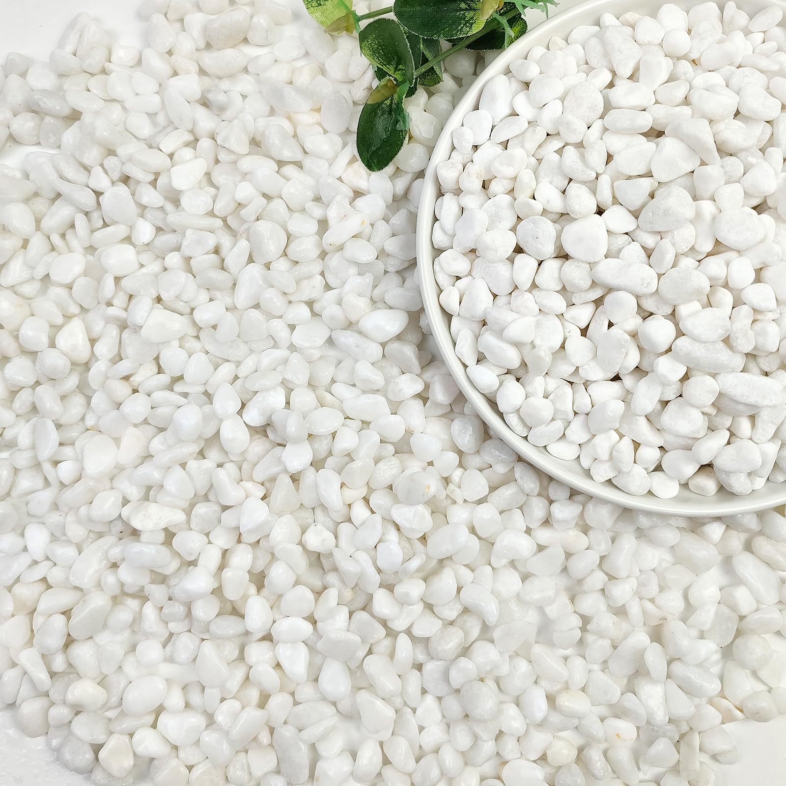 2lbs Mixed Color Pebbles for Plants, 3/8inch Small Rocks for Succulent Cactus Planters, Natural Polished Pebbles, River Rocks for Plants, Vases, Garden