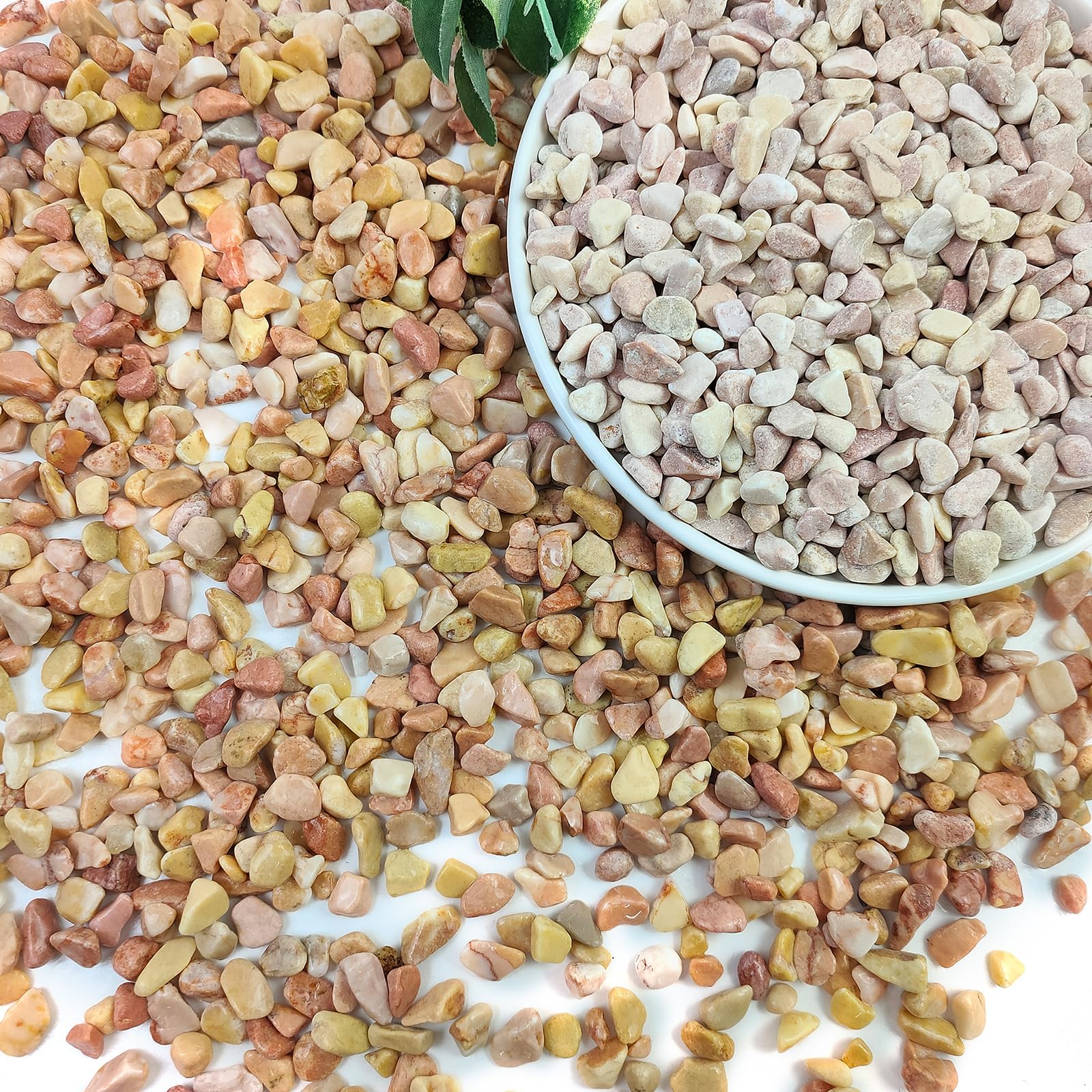 2lbs Mixed Color Pebbles for Plants, 3/8inch Small Rocks for Succulent Cactus Planters, Natural Polished Pebbles, River Rocks for Plants, Vases, Garden